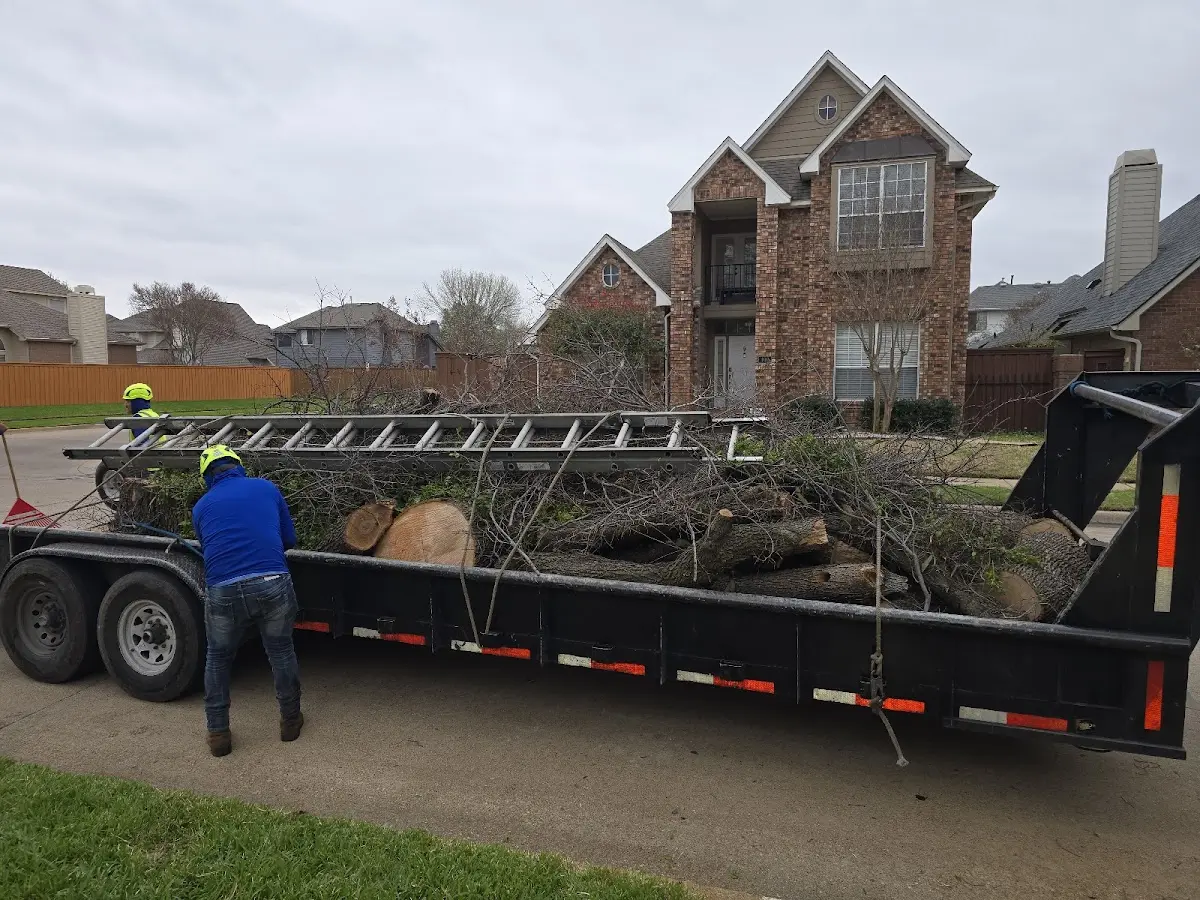 Expert Tree Removal with proper safety equipment in Orono